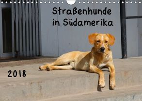 Straßenhunde 2018 (Wandkalender 2018 DIN A4 quer) von Gerken,  Jochen