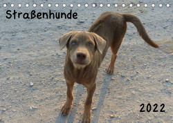 Straßenhunde 2022 (Tischkalender 2022 DIN A5 quer) von Gerken,  Jochen