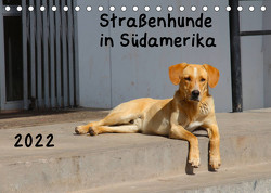 Straßenhunde 2022 (Tischkalender 2022 DIN A5 quer) von Gerken,  Jochen