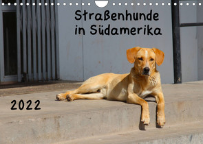Straßenhunde 2022 (Wandkalender 2022 DIN A4 quer) von Gerken,  Jochen