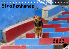 Straßenhunde 2023 (Tischkalender 2023 DIN A5 quer) von Gerken,  Jochen