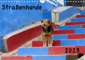Straßenhunde 2023 (Wandkalender 2023 DIN A4 quer) von Gerken,  Jochen