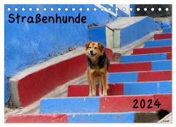 Straßenhunde 2024 (Tischkalender 2024 DIN A5 quer), CALVENDO Monatskalender von Gerken,  Jochen