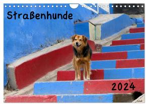 Straßenhunde 2024 (Wandkalender 2024 DIN A4 quer), CALVENDO Monatskalender von Gerken,  Jochen
