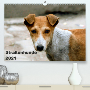 Straßenhunde (Premium, hochwertiger DIN A2 Wandkalender 2021, Kunstdruck in Hochglanz) von Bakker,  Antje