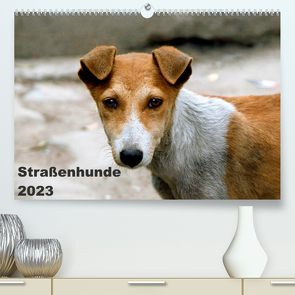 Straßenhunde (Premium, hochwertiger DIN A2 Wandkalender 2023, Kunstdruck in Hochglanz) von Bakker,  Antje