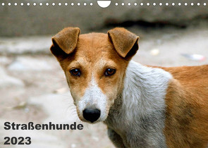 Straßenhunde (Wandkalender 2023 DIN A4 quer) von Bakker,  Antje