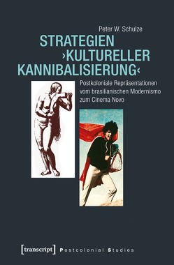 Strategien ›kultureller Kannibalisierung‹ von Schulze,  Peter W.
