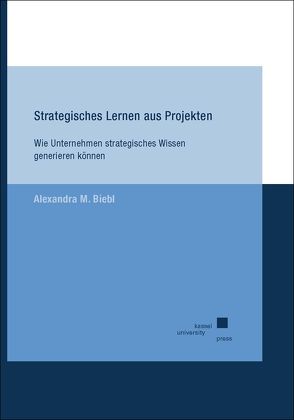 Strategisches Lernen aus Projekten von Biebl,  Alexandra M.