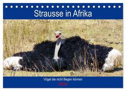 Strausse in Afrika (Tischkalender 2024 DIN A5 quer), CALVENDO Monatskalender von Fraatz,  Barbara