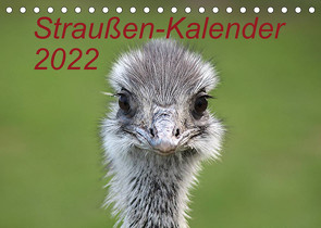 Straußen-Kalender 2022 (Tischkalender 2022 DIN A5 quer) von Witkowski,  Bernd