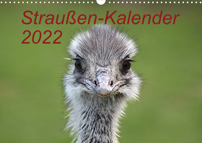 Straußen-Kalender 2022 (Wandkalender 2022 DIN A3 quer) von Witkowski,  Bernd