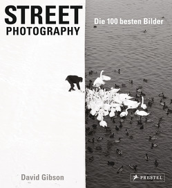 Street Photography: Die 100 besten Bilder von Gibson,  David