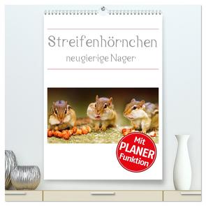Streifenhörnchen – neugierige Nager (hochwertiger Premium Wandkalender 2024 DIN A2 hoch), Kunstdruck in Hochglanz von Mosert,  Stefan