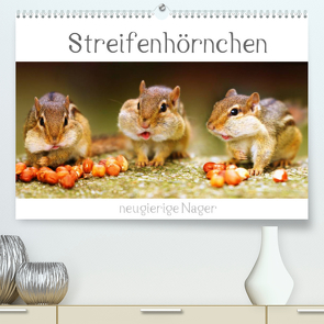 Streifenhörnchen – neugierige Nager (Premium, hochwertiger DIN A2 Wandkalender 2022, Kunstdruck in Hochglanz) von Mosert,  Stefan