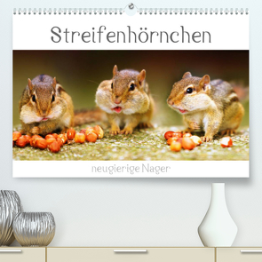 Streifenhörnchen – neugierige Nager (Premium, hochwertiger DIN A2 Wandkalender 2023, Kunstdruck in Hochglanz) von Mosert,  Stefan