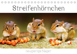 Streifenhörnchen – neugierige Nager (Tischkalender 2023 DIN A5 quer) von Mosert,  Stefan