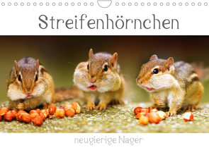 Streifenhörnchen – neugierige Nager (Wandkalender 2022 DIN A4 quer) von Mosert,  Stefan