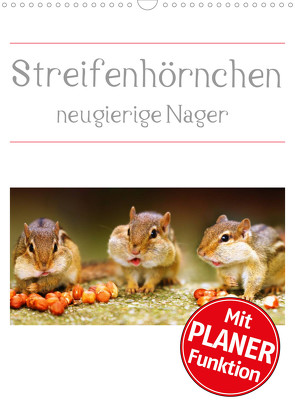 Streifenhörnchen – neugierige Nager (Wandkalender 2023 DIN A3 hoch) von Mosert,  Stefan