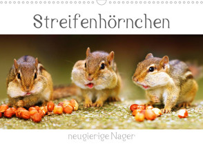Streifenhörnchen – neugierige Nager (Wandkalender 2023 DIN A3 quer) von Mosert,  Stefan