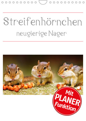 Streifenhörnchen – neugierige Nager (Wandkalender 2023 DIN A4 hoch) von Mosert,  Stefan