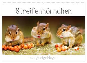 Streifenhörnchen – neugierige Nager (Wandkalender 2024 DIN A2 quer), CALVENDO Monatskalender von Mosert,  Stefan