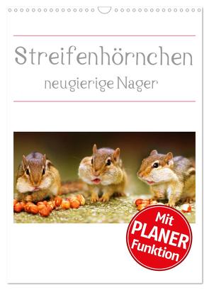 Streifenhörnchen – neugierige Nager (Wandkalender 2024 DIN A3 hoch), CALVENDO Monatskalender von Mosert,  Stefan