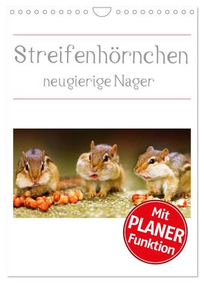 Streifenhörnchen – neugierige Nager (Wandkalender 2024 DIN A4 hoch), CALVENDO Monatskalender von Mosert,  Stefan