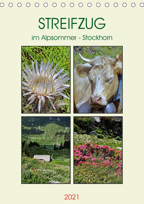 STREIFZUG im Alpsommer – Stockhorn (Tischkalender 2021 DIN A5 hoch) von Michel,  Susan
