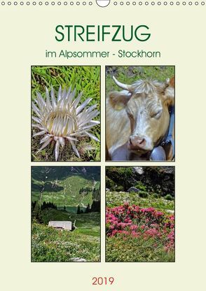 STREIFZUG im Alpsommer – Stockhorn (Wandkalender 2019 DIN A3 hoch) von Michel,  Susan