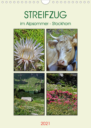 STREIFZUG im Alpsommer – Stockhorn (Wandkalender 2021 DIN A4 hoch) von Michel,  Susan