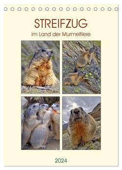 STREIFZUG im Land der Murmeltiere (Tischkalender 2024 DIN A5 hoch), CALVENDO Monatskalender von Michel,  Susan