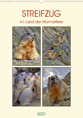 STREIFZUG im Land der Murmeltiere (Wandkalender 2021 DIN A3 hoch) von Michel,  Susan