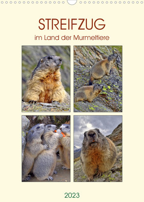 STREIFZUG im Land der Murmeltiere (Wandkalender 2023 DIN A3 hoch) von Michel,  Susan