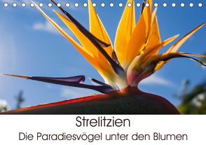 Strelitzien – die Paradiesvögel unter den Blumen (Tischkalender 2021 DIN A5 quer) von Schröder,  Silvia