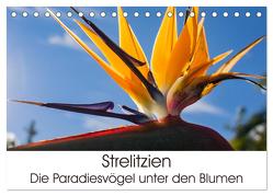 Strelitzien – die Paradiesvögel unter den Blumen (Tischkalender 2024 DIN A5 quer), CALVENDO Monatskalender von Schröder,  Silvia