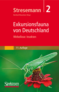 Stresemann – Exkursionsfauna von Deutschland, Band 2: Wirbellose: Insekten von Klausnitzer,  Bernhard, Stresemann,  Erwin