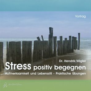 Stress positiv begegnen von Vögler,  Hendrik
