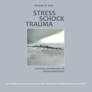 Stress Schock Trauma … verstehen, (an)erkennen und achtsam überwinden von Koch,  Elisabeth M.