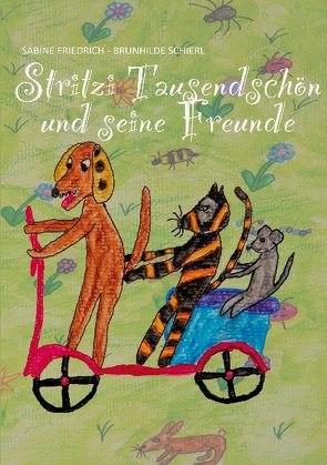 Stritzi Tausendschön und seine Freunde von Friedrich,  Sabine, Schierl,  Brunhilde