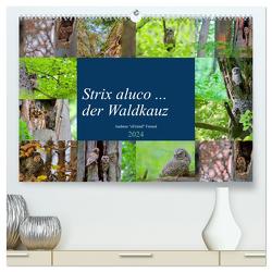 Strix aluco … der Waldkauz (hochwertiger Premium Wandkalender 2024 DIN A2 quer), Kunstdruck in Hochglanz von Freund,  Andreas