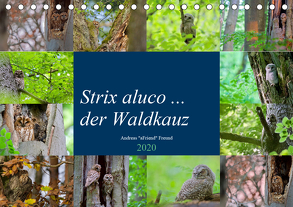 Strix aluco … der Waldkauz (Tischkalender 2020 DIN A5 quer) von Freund,  Andreas