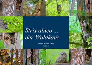 Strix aluco … der Waldkauz (Wandkalender 2020 DIN A2 quer) von Freund,  Andreas