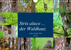 Strix aluco … der Waldkauz (Wandkalender 2020 DIN A4 quer) von Freund,  Andreas