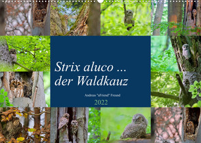 Strix aluco … der Waldkauz (Wandkalender 2022 DIN A2 quer) von Freund,  Andreas