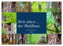 Strix aluco … der Waldkauz (Wandkalender 2024 DIN A2 quer), CALVENDO Monatskalender von Freund,  Andreas