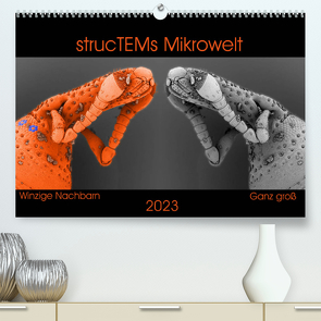 strucTEMs Mikrowelt – Winzige Nachbarn ganz groß (Premium, hochwertiger DIN A2 Wandkalender 2023, Kunstdruck in Hochglanz) von Braun,  Nathalie, strucTEM