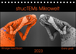 strucTEMs Mikrowelt – Winzige Nachbarn ganz groß (Tischkalender 2023 DIN A5 quer) von Braun,  Nathalie, strucTEM