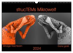 strucTEMs Mikrowelt – Winzige Nachbarn ganz groß (Wandkalender 2024 DIN A3 quer), CALVENDO Monatskalender von Nathalie Braun,  strucTEM, 