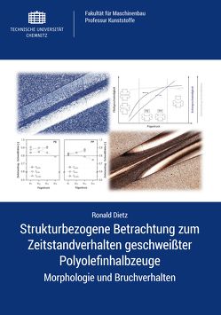 Strukturbezogene Betrachtung zum Zeitstandverhalten geschweißter Polyolefinhalbzeuge von Dietz,  Ronald